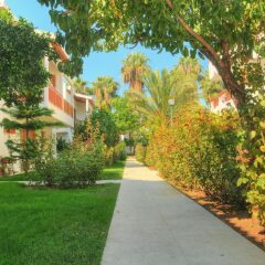 Antik Garden Hotel Турция, Аланья - отзывы, цены и фото номеров - забронировать отель Antik Garden Hotel онлайн фото 14