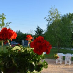 Отель B&B Tessyhouse Италия, Спинеа - отзывы, цены и фото номеров - забронировать отель B&B Tessyhouse онлайн помещение для мероприятий
