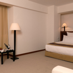 City One Hotel комната для гостей фото 4