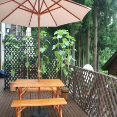 Отель B&B Santana Hakuba Хакуба