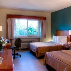 Отель Comfort Inn Puerto Vallarta комната для гостей фото 5