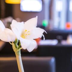 Hotel Alize Mouscron гостиничный бар