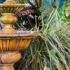 Отель Rodeway Inn Culver City фото 11