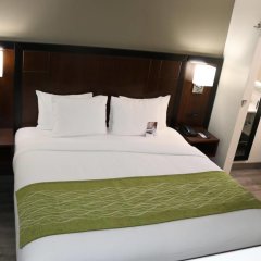 Comfort Inn in Pacheco, United States of America from 129$, photos, reviews - zenhotels.com guestroom