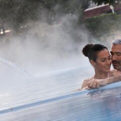 Отель Ariston Molino Terme Италия, Абано-Терме - отзывы, цены и фото номеров - забронировать отель Ariston Molino Terme онлайн с домашними животными