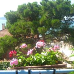 Mavi Pansiyon in Ayvalik, Turkey from 31$, photos, reviews - zenhotels.com beach