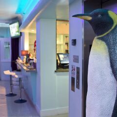 The Penguin Hotel Miami Beach United States Of America Zenhotels