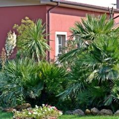 Отель Cevoli Country Resort Лари фото 4
