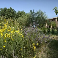 Отель Casa Vacanze di Charme Ripabianca Джези фото 3