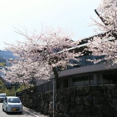 Umikaoru Yado Hotel New Matsumi Беппу фото 8