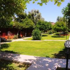 Toll Hotel Турция, Сиде - отзывы, цены и фото номеров - забронировать отель Toll Hotel онлайн фото 12