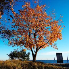 Отель Bursztyn Польша, Сопот - отзывы, цены и фото номеров - забронировать отель Bursztyn онлайн фото 3