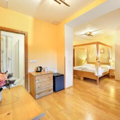 Hotel Garni Myší Díra Чешский Крумлов комната для гостей фото 4