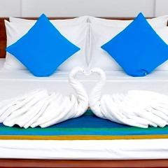 Отель Comfort@15 Hotel Colombo Шри-Ланка, Коломбо - 1 отзыв об отеле, цены и фото номеров - забронировать отель Comfort@15 Hotel Colombo онлайн фото 5