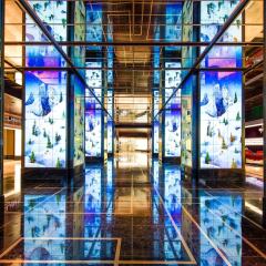 Отель The Cosmopolitan of Las Vegas интерьер отеля фото 4