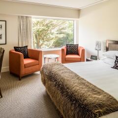 Bolton Hotel комната для гостей
