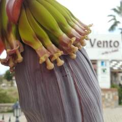 Vento Boutique Hotel фото 14