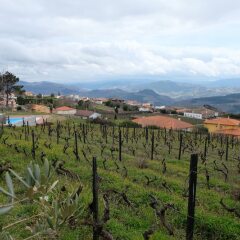 Отель Quinta Manhas Douro фото 13