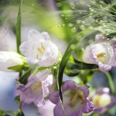 Отель B&B The Herring's Residence фото 4