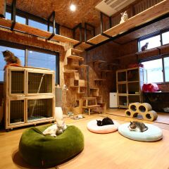 Nekokura Hostel Фукуока детские мероприятия