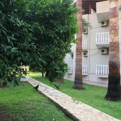 Ferah Hotel Турция, Патара - отзывы, цены и фото номеров - забронировать отель Ferah Hotel онлайн фото 4
