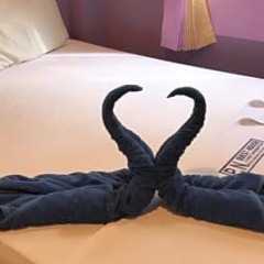 Отель P.N. Guest House с домашними животными