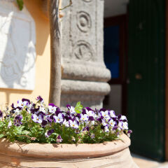 Отель Villa Felice Relais