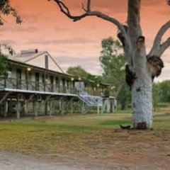 Fitzroy River Lodge in Fitzroy Crossing, Australia from 308$, photos, reviews - zenhotels.com photo 6