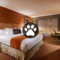 Отель Best Western Plus Rio Grande Inn комната для гостей фото 4