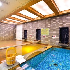 Отель Novotel Beijing Xinqiao сауна