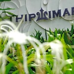 Отель Thipwimarn Resort Koh Tao питание
