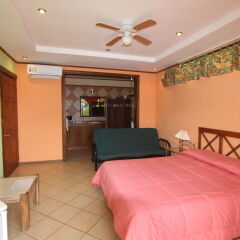 Отель Arenal Garden Lodge Коста-Рика, Эль-Кастильо - отзывы, цены и фото номеров - забронировать отель Arenal Garden Lodge онлайн комната для гостей
