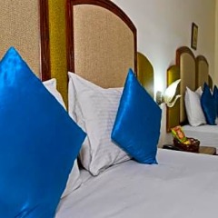 Отель South Indian Hotel Индия, Нью-Дели - отзывы, цены и фото номеров - забронировать отель South Indian Hotel онлайн фото 24