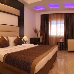 Отель Livasa Inn Индия, Нью-Дели - отзывы, цены и фото номеров - забронировать отель Livasa Inn онлайн фото 3