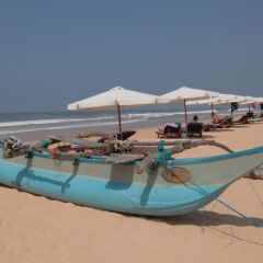Отель Panchi Villa Шри-Ланка, Бентота - отзывы, цены и фото номеров - забронировать отель Panchi Villa онлайн пляж фото 2