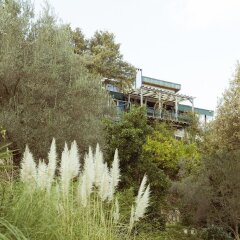 Отель Olive Farm Of Datca Guesthouse - Adults Only Датча приотельная территория