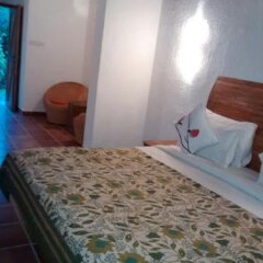 Anandvan Resort in Igatpuri, India from 145$, photos, reviews - zenhotels.com guestroom