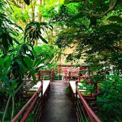 Отель Dao Anh Khanh Treehouse Ханой фото 4