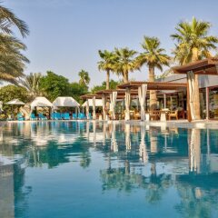 Отель Desert Palm ОАЭ, Дубай - отзывы, цены и фото номеров - забронировать отель Desert Palm онлайн детские мероприятия фото 2