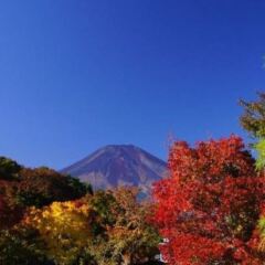 Отель ZERO-Project Japan GuestHouse Яманакако