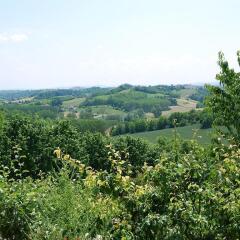 Отель San Rocco di Villa di Isola D'Asti Изола-д'Асти фото 4