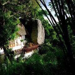 Отель Thipwimarn Resort Koh Tao Таиланд, Остров Тау - отзывы, цены и фото номеров - забронировать отель Thipwimarn Resort Koh Tao онлайн фото 3