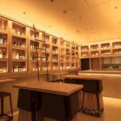 Robot Hotel by Henn na Hotel Tokyo Ginza развлечения