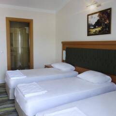 Forest Park Hotel комната для гостей фото 2