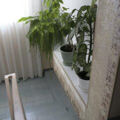 Гостиница Guest House Ludmila в Анапе отзывы, цены и фото номеров - забронировать гостиницу Guest House Ludmila онлайн Анапа