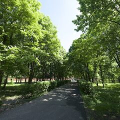 Гостиница Иерусалимская фото 7