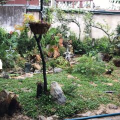 Отель De Daisy Villa Homestay Далат