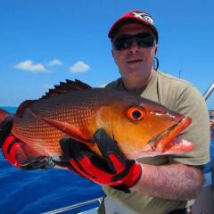 Отель Surfview Raalhugandu фото 3