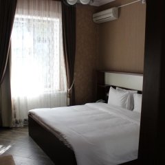 Отель Samaxi Palace Sharadil Азербайджан, Ахсу - отзывы, цены и фото номеров - забронировать отель Samaxi Palace Sharadil онлайн комната для гостей фото 5