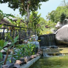 Отель Greenery Resort Koh Tao бассейн фото 2